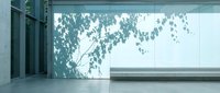 Soft tree branch shadows cast on a bright white wall in a minimalist modern interior with concrete floor and glass panels.