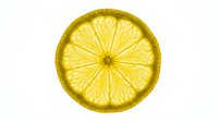 Backlit lemon slice isolated on white background, showing vibrant yellow citrus segments and translucent texture in macro detail.