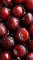 Fresh ripe cherries with water drops close-up macro shot. Dark red sweet berries background with natural morning dew for food design and packaging.