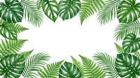 Tropical leaves frame with monstera and palm fronds creating natural border on white background for summer design projects and botanical themes.
