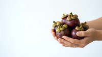 Hands holding fresh mangosteen fruits with purple skin and green crown leaves against white background, suitable for food, nutrition, and healthy eating content.