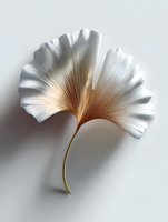 White fan-shaped leaf with golden stem on neutral background, elegant botanical art composition isolated for creative design projects and decorative use.
