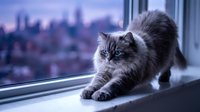 Fluffy gray tabby cat stretching on windowsill with blurred city skyline at dusk, perfect for pet, lifestyle, and home decor content.