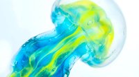 Translucent jellyfish toy with flowing tentacles in vibrant blue and neon yellow, isolated on white background for design projects, merchandise, and educational materials.