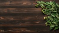 Fresh bay leaves with small buds arranged on dark wooden rustic background, corner composition with copy space for food photography and menu design.