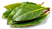 Fresh bay leaves with visible veins and texture on white background, aromatic herb used in cooking for flavor enhancement in soups, stews, and Mediterranean dishes.