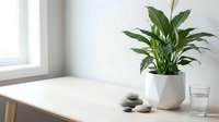 Minimalist wooden table with green houseplant in white pot, smooth stones and glass of water near bright window creating peaceful zen atmosphere.