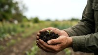 Farmer holding rich dark soil in hands over cultivated field, representing agriculture, farming practices, and sustainable land management for crop production.