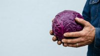 Red cabbage held in male hands wearing denim shirt, fresh produce for cooking and healthy eating, farmer or gardener displaying organic vegetable.