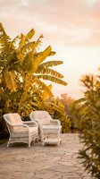 White wicker chairs on stone patio surrounded by tropical banana plants during golden hour sunset creating peaceful outdoor living space atmosphere.