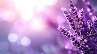 Purple lavender flowers in soft focus with dreamy bokeh background creating peaceful aromatherapy and wellness atmosphere for spa and relaxation concepts.