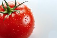 Fresh red tomato with water droplets and green stem on white background, macro photography showing texture and natural moisture for food and produce marketing.