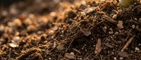 Rich organic compost soil with decomposed leaves and natural fertilizer for sustainable gardening and agriculture applications.