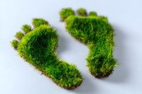 Green moss footprints on white background symbolizing eco-friendly lifestyle and sustainable living concept, environmental conservation awareness.