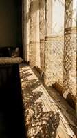 Vintage lace curtains casting intricate shadows on weathered wooden floor in sunlit room with sleeping cat creating cozy domestic atmosphere.