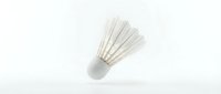 Badminton shuttlecock with white feathers isolated on white background, ready for sports design and athletic promotional materials.