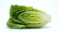 Fresh napa cabbage head isolated on white background for healthy cooking and salad preparation in kitchen recipes and meal planning applications.