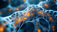 Glowing orange spheres trapped in intricate white neural network structure against dark background, microscopic view of biological connections and synapses in brain tissue.