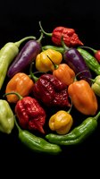 Colorful assortment of fresh hot chili peppers including habanero, serrano, and bell varieties on dark background for culinary and cooking projects.