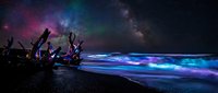 Magical bioluminescent ocean waves glowing blue under starry night sky with Milky Way galaxy. Surreal seascape with driftwood on dark beach shore.