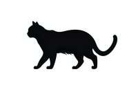 Black silhouette of walking cat in profile view, isolated on white background. Ready for design projects, logos, and decorative elements.