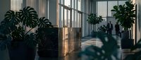 Modern office lobby with lush green plants and natural sunlight streaming through large windows creating peaceful corporate workspace atmosphere.