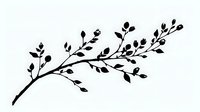 Elegant black branch silhouette with delicate leaves and buds in minimalist style, isolated on white background for design projects and decorative elements.