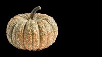 Rustic green and orange textured pumpkin isolated on transparent background, ready for fall clipart, stickers, T-shirt design, sublimation, and print on demand projects.