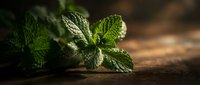 Fresh green mint leaves on rustic wooden surface with natural lighting for culinary and herbal medicine applications.