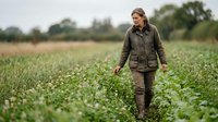 Middle-aged Caucasian male farmer wearing work jacket walking through blooming clover field, inspecting crops during growing season for agriculture and farming industry use.