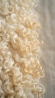 Soft blonde curly hair texture close-up with natural light creating warm golden tones and delicate spiral curls for beauty and hair care concepts.
