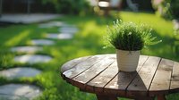 Fresh green plant in white ceramic pot on rustic wooden round table outdoors with blurred garden background and natural sunlight creating peaceful atmosphere.