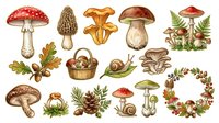 Mushroom and snail collection with botanical elements, isolated on white background. Vintage-style illustrations include red toadstools, golden chanterelles, brown caps, garden snails, acorns, ferns, and decorative wreaths. Suitable for design projects, educational materials, clipart, textiles, and nature-themed graphics.