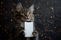 Curious tabby cat holding blank smartphone screen against dark background with golden bokeh lights, looking up with attentive expression.