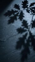 Plant leaf shadows cast on textured concrete surface, creating moody atmospheric effect with cool blue tones, suitable for backgrounds, design projects, and creative compositions.