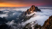 Dramatic mountain peak emerging from sea of clouds at golden hour sunrise with orange and purple sky creating breathtaking alpine landscape scenery.