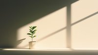 Young green plant in white pot casting shadow on beige wall with window light pattern, minimalist composition for wellness, growth and meditation concepts.