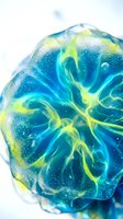 Vibrant blue and yellow resin art sphere with glowing neon veins and water droplets, isolated on white background for design projects.