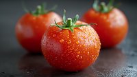 Fresh ripe tomatoes with water drops on dark background, macro shot showing detailed texture and natural moisture for food photography and marketing.