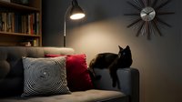 Black cat sitting on gray sofa with decorative pillows, modern floor lamp, and sunburst clock on wall in contemporary living room interior design setting.