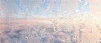 Frost-covered plants and branches with soft sunrise light creating a serene winter landscape with warm golden tones and icy crystalline details.