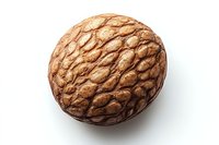 Single fresh nutmeg spice with textured brown shell surface isolated on white background, macro close up view showing natural organic pattern and texture.
