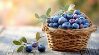 Fresh blueberries in wicker basket on rustic wooden table with soft focus background, showcasing organic harvest for healthy eating.