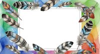 Colorful feathers arranged in a decorative frame border with white center space, isolated on transparent background, ready for design projects, invitations, and creative layouts.