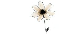 Minimalist cream flower with black outline and stem on white background, delicate watercolor style botanical illustration for stationery and wall art designs.