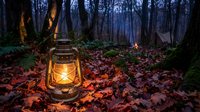 Vintage oil lantern glowing warmly on forest floor covered with autumn leaves during twilight hour creating atmospheric camping scene.