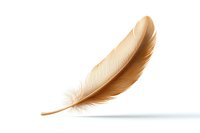 Delicate brown feather with soft gradient texture floating above white surface, casting subtle shadow. Isolated object for creative design projects.
