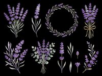 Lavender botanical clipart set with bouquets, wreath, and stems isolated on transparent background, ready for t-shirt design, stickers, sublimation, and print on demand.