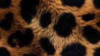 Close up of natural leopard fur pattern showing detailed texture of spotted animal coat with black rosettes on golden brown background. Luxury fashion design element.