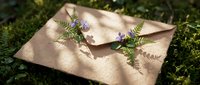Vintage kraft paper envelope decorated with purple wildflowers and green fern leaves on natural moss background for eco-friendly correspondence and botanical design.